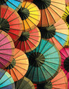 Buchcover Umbrellas