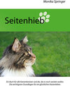 Buchcover Seitenhieb