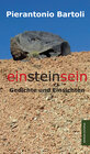 Buchcover einsteinsein