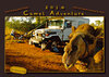 Buchcover Camel Adventure - Kamel Abenteuer
