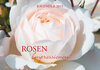 Buchcover Rosen Impressionen