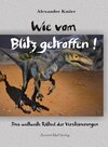 Buchcover Wie vom Blitz getroffen!