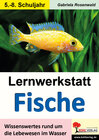 Buchcover Lernwerkstatt Fische