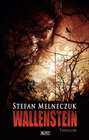 Buchcover Wallenstein
