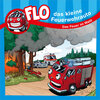 Buchcover Das Feuer im Wald - Flo-Minibuch (1)