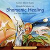Buchcover Shamanic Healing
