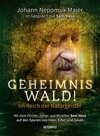 Buchcover Geheimnis Wald! - Im Reich der Naturgeister