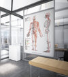 Buchcover AMM & TCM Meridian Plakat Dorsal DIN A2