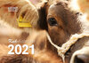 Buchcover Kuh-Kalender 2021