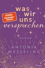 Buchcover Was wir uns versprechen / Light in the Dark Bd.3 - Antonia Wesseling (ePub)