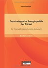 Buchcover Geostrategische Energiepolitik der Türkei: Die Türkei als Energiedrehscheibe der Zukunft