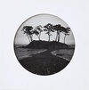 Buchcover A Distant Shore