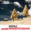 Buchcover Digitale Infrarotfotografie