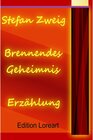 Buchcover Brennendes Geheimnis