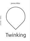Buchcover Twinking