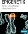 Buchcover Epigenetik