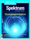 Buchcover Spektrum Spezial- Quantengravitation