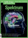 Buchcover Spektrum Spezial - Das Gehirn