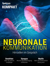 Buchcover Spektrum Kompakt - Neuronale Kommunikation