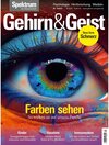 Buchcover Gehirn&Geist 7/2023 Farben sehen / Gehirn&Geist -  (ePub)