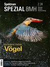 Buchcover Spektrum Spezial BMH 2/2024 - Vögel