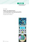 Buchcover Prägen von Hologrammen in die Oberfläche von Blechwerkstoffen