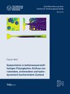 Buchcover Gaskavitation in kohlenwasserstoffhaltigen Flüssigkeiten: Einfluss von ruhendem, strömendem und hydrodynamisch kavitiere