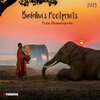 Buchcover Buddhas Footprints 2023