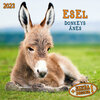 Buchcover Esel 2023