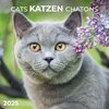 Buchcover Cats/Katzen 2025