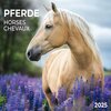 Buchcover Horses/Pferde 2025