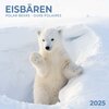 Buchcover Polar Bears/Eisbärchen 2025