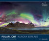 Buchcover POLARLICHT