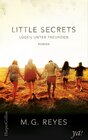 Buchcover Little Secrets - Lügen unter Freunden