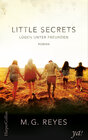 Buchcover Little Secrets - Lügen unter Freunden