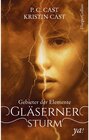 Buchcover Gebieter der Elemente - Gläserner Sturm / Gebieter der Elemente Bd.1