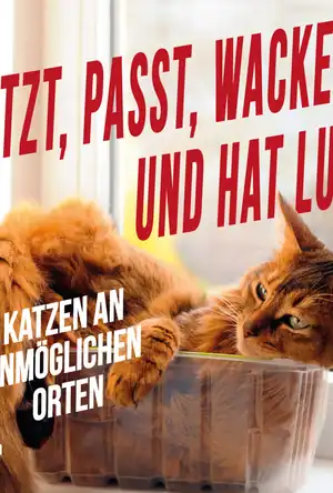 Buchcover ISBN 9783959710404