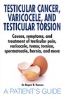 Buchcover Testicular Cancer, Varicocele, and Testicular Torsion