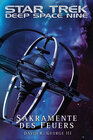 Buchcover Star Trek - Deep Space Nine: Sakramente des Feuers
