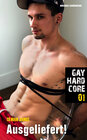 Buchcover Gay Hardcore 01: Ausgeliefert!
