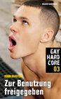 Buchcover Gay Hardcore 03: Zur Benutzung freigegeben