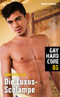 Buchcover Gay Hardcore 05: Die Luxus-Schlampe