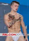 Buchcover Falcon 2017
