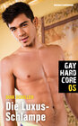 Buchcover Gay Hardcore 05: Die Luxus-Schlampe