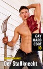 Buchcover Gay Hardcore 10: Der Stallknecht