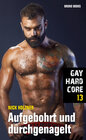 Buchcover Gay Hardcore 13: Aufgebohrt und durchgenagelt