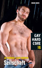 Buchcover Gay Hardcore 16: Seilschaft