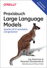Buchcover Praxisbuch Large Language Models