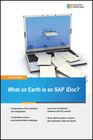 Buchcover What on Earth is an SAP IDoc?