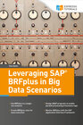 Buchcover Leveraging SAP BRFplus in Big Data Scenarios